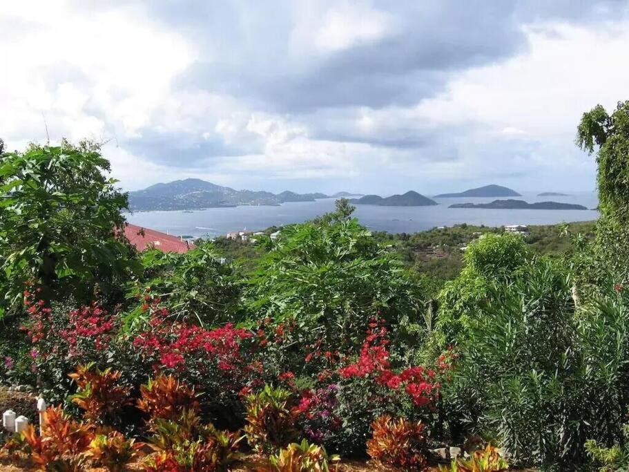 Cielo Vista Villa 3 Bdrm Sleeps 6 Heavenly View Cruz Bay Экстерьер фото